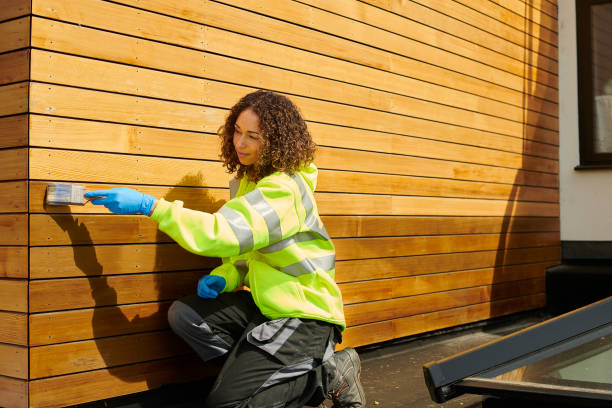 Affordable Siding Repair and Maintenance Services in North Decatur, GA